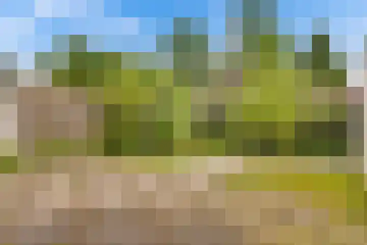 Terpstraat 7 Nijmegen thumbnail 47