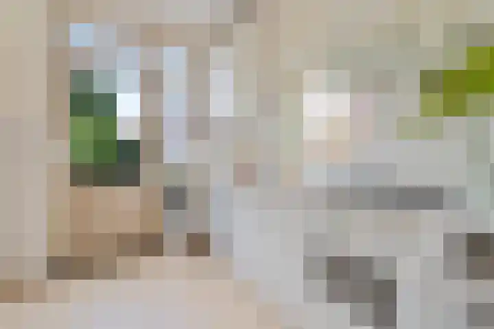 Terpstraat 7 Nijmegen thumbnail 5