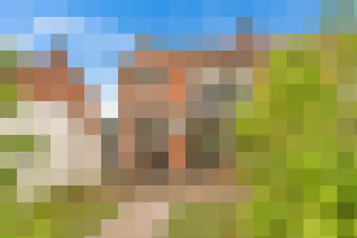 Terpstraat 7 Nijmegen thumbnail 50