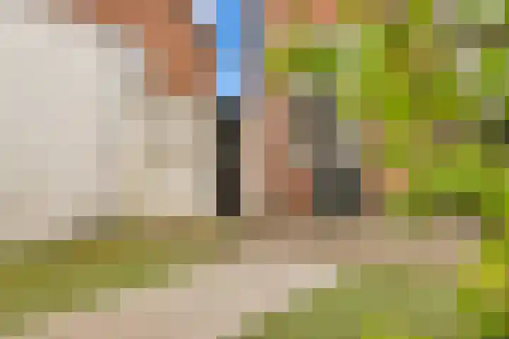 Terpstraat 7 Nijmegen thumbnail 52