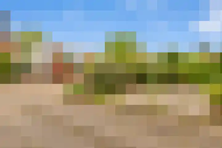 Terpstraat 7 Nijmegen thumbnail 56