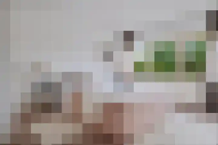 Terpstraat 7 Nijmegen thumbnail 6