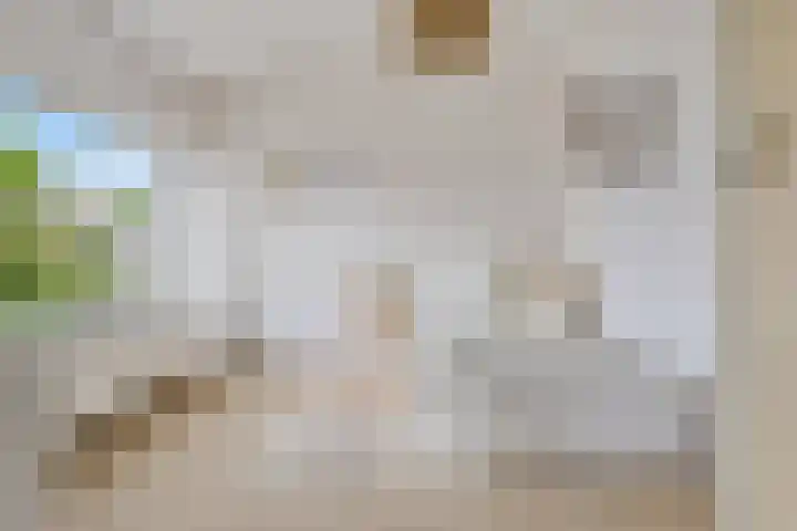 Terpstraat 7 Nijmegen thumbnail 7