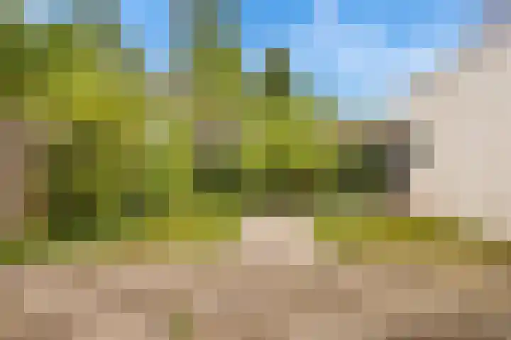 Terpstraat 7 Nijmegen thumbnail 9