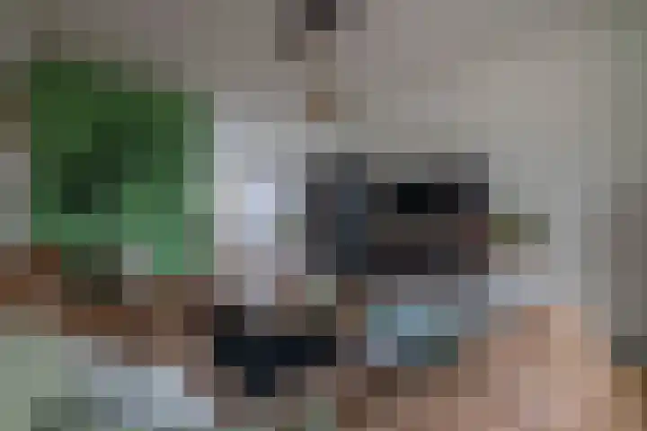 Terpstrastraat 27 Doezum thumbnail 17
