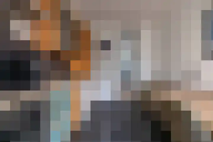 Terpstrastraat 27 Doezum thumbnail 21