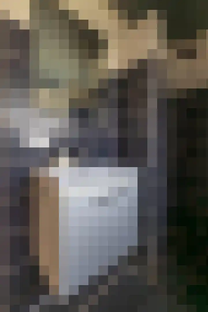 Terpstrastraat 27 Doezum thumbnail 36