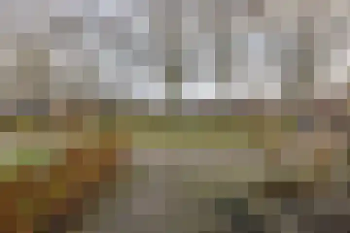 Terpstrastraat 27 Doezum thumbnail 8