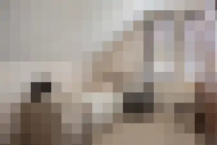 Terpweg 18 Heerde thumbnail 32