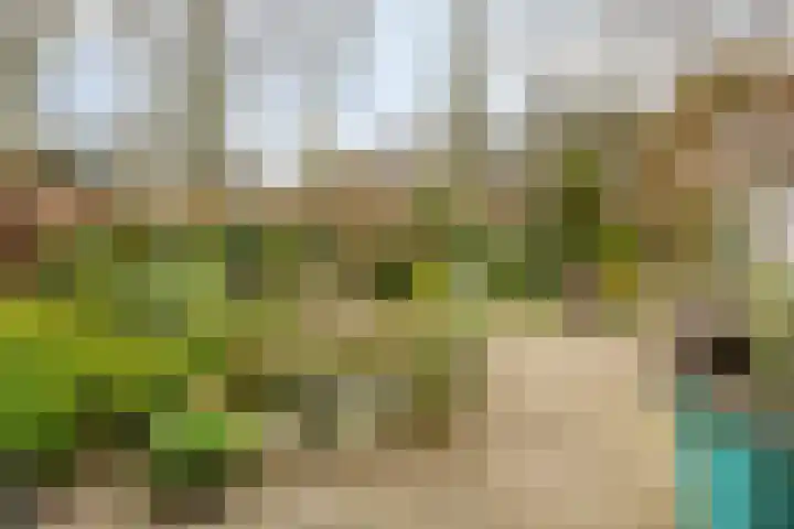 Terpweg 18 Heerde thumbnail 33
