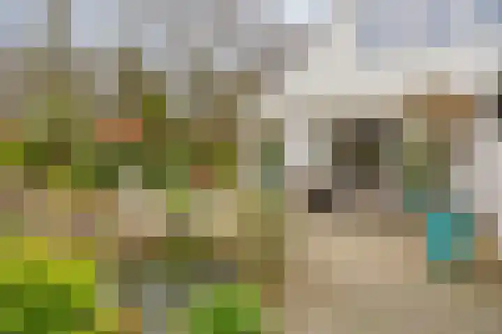 Terpweg 18 Heerde thumbnail 34