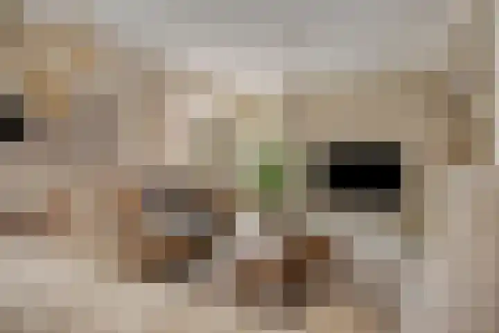 Terpweg 18 Heerde thumbnail 4