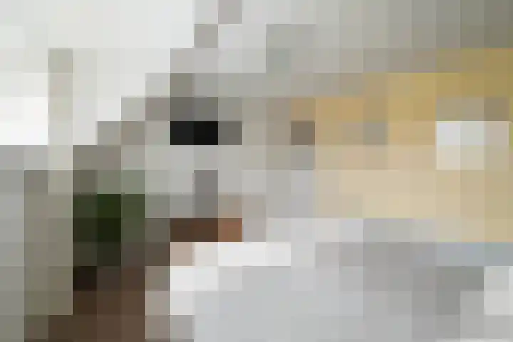 Terpweg 4 Sint Maarten thumbnail 27