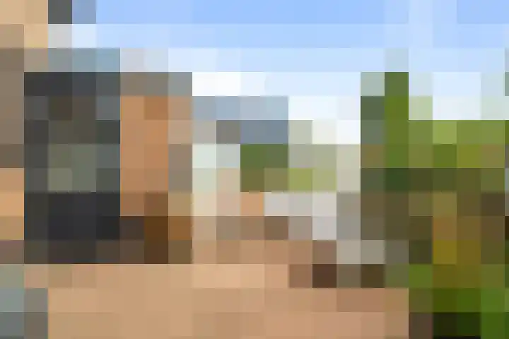 Terpweg 4 Sint Maarten thumbnail 41