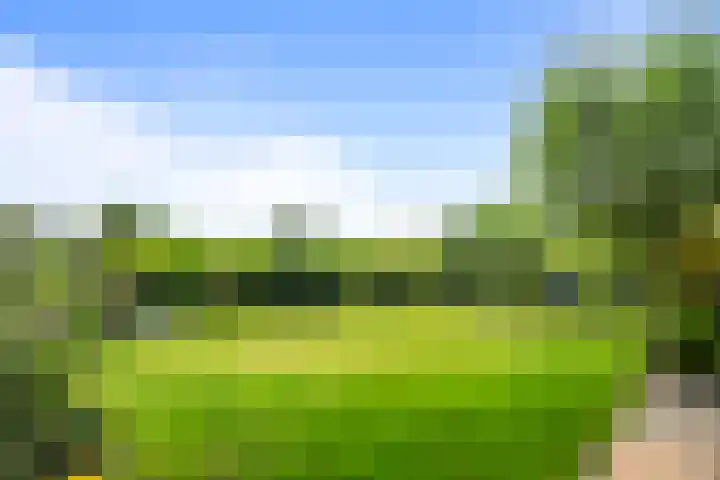 Terpweg 4 Sint Maarten thumbnail 42