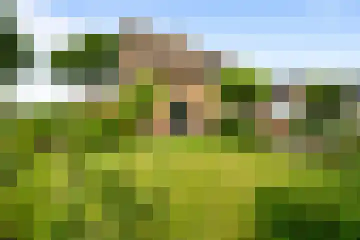 Terpweg 4 Sint Maarten thumbnail 43