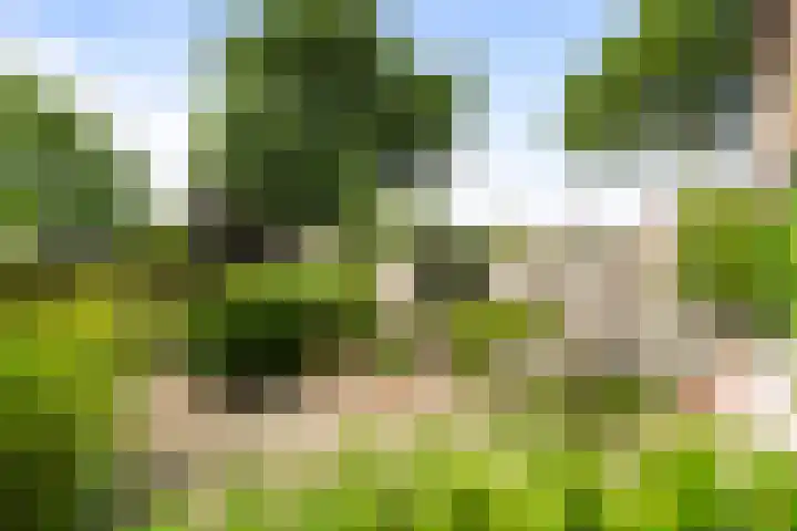 Terpweg 4 Sint Maarten thumbnail 48