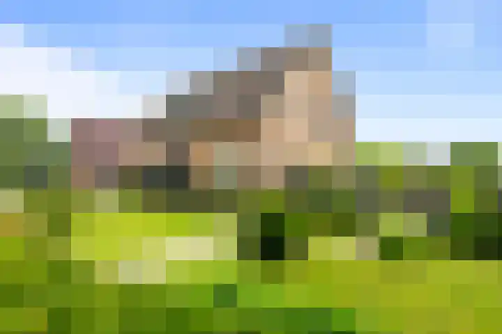 Terpweg 4 Sint Maarten thumbnail 6