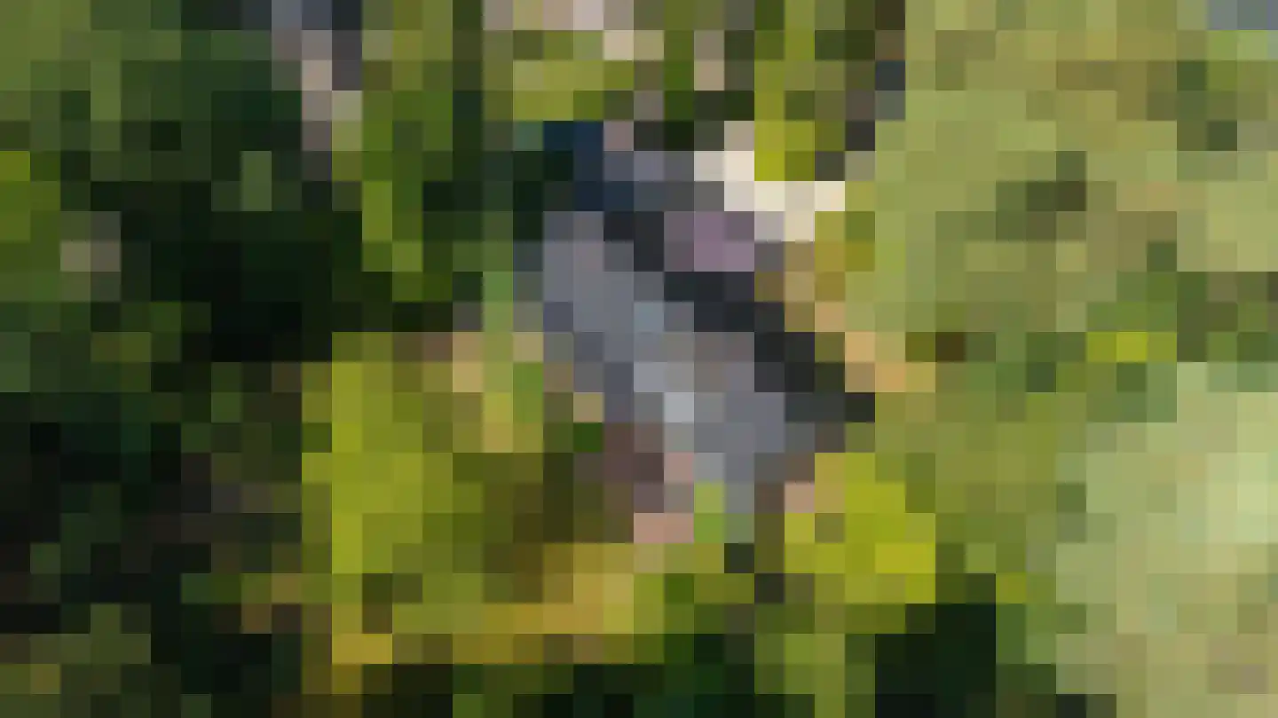 Terpweg 9 Heerde thumbnail 36