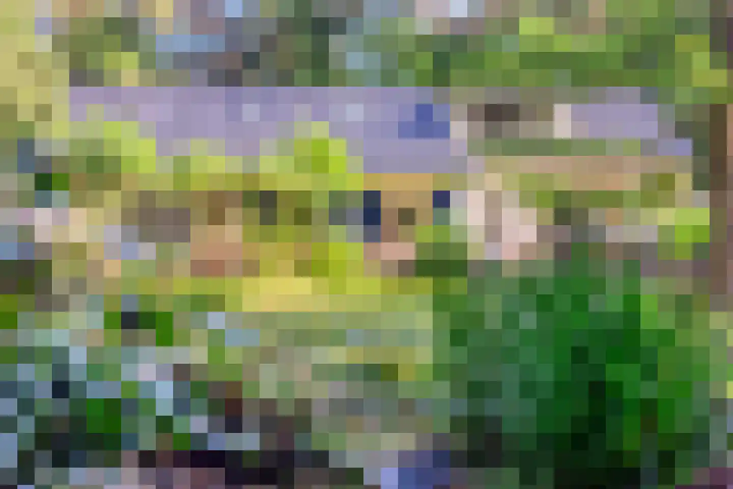 Terpweg 9 Heerde thumbnail 37