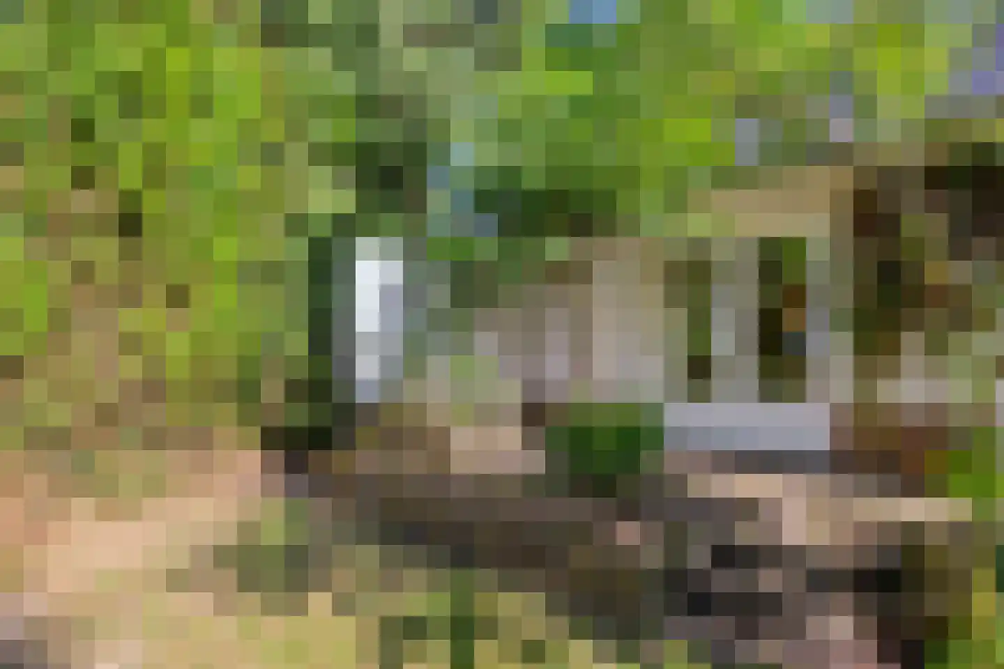 Terpweg 9 Heerde thumbnail 39