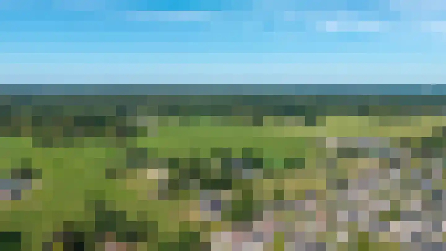 Terpweg 9 Heerde thumbnail 4