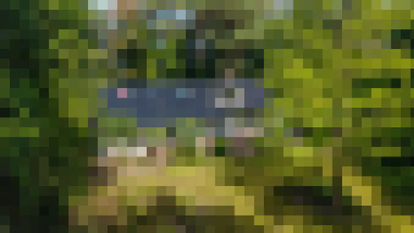 Terpweg 9 Heerde thumbnail 40