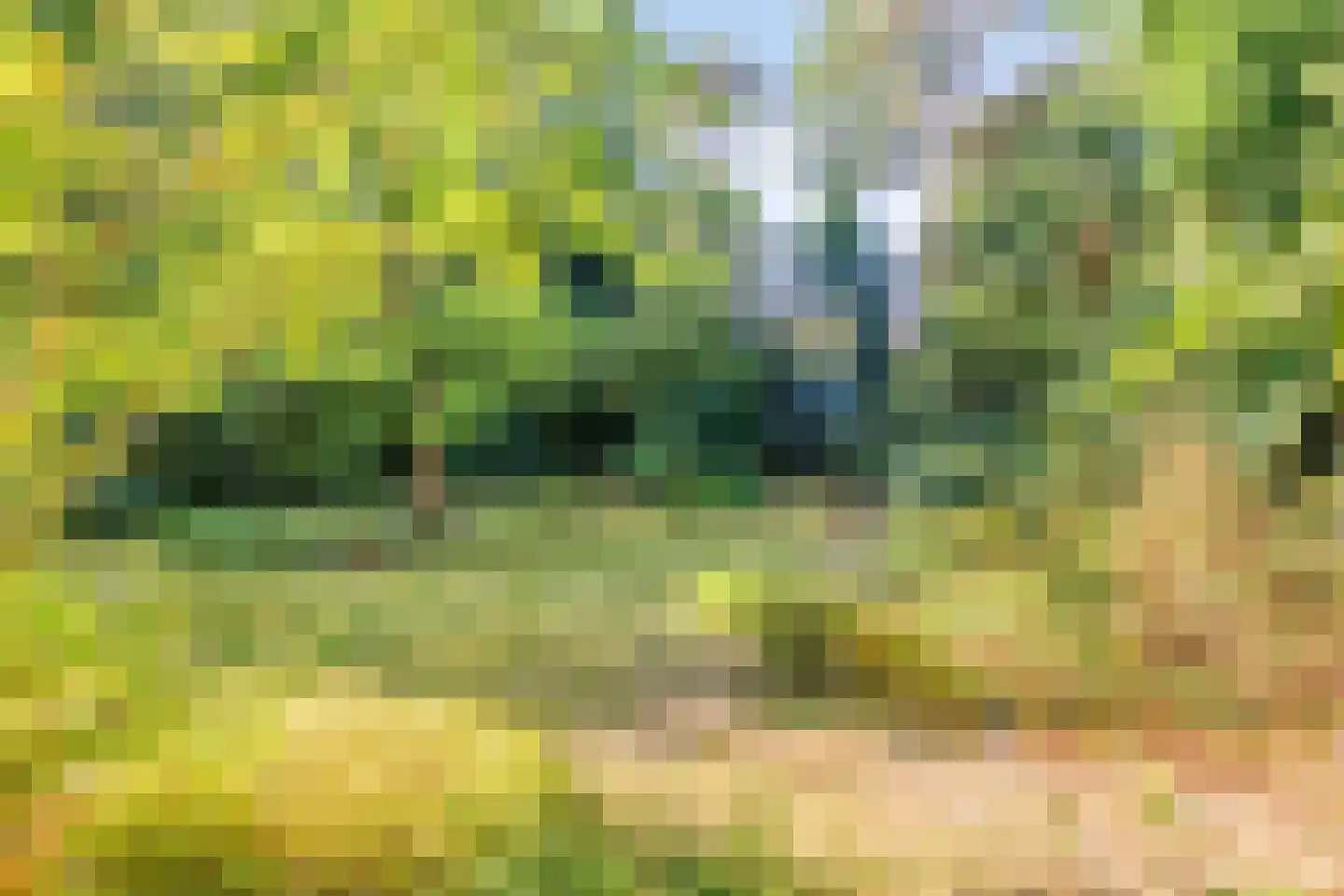Terpweg 9 Heerde thumbnail 41
