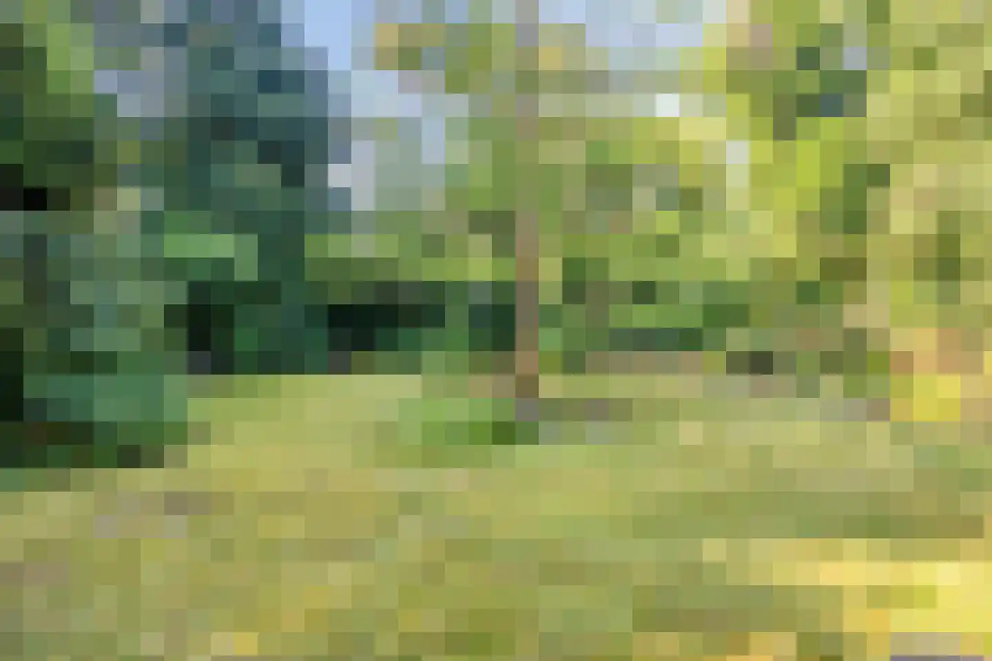 Terpweg 9 Heerde thumbnail 42