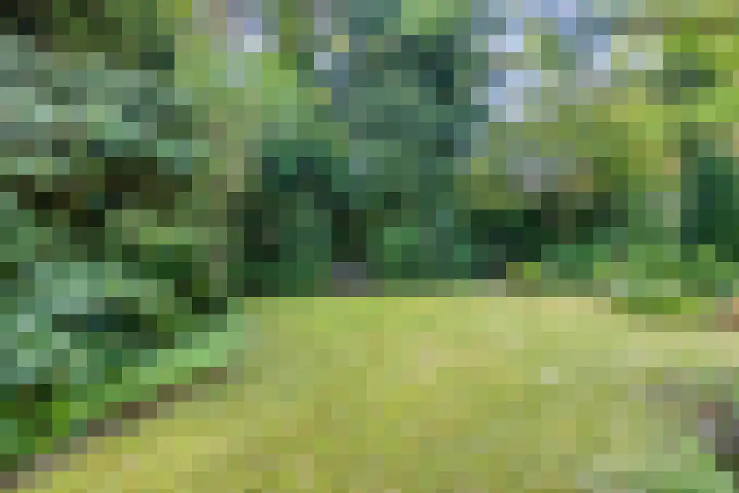 Terpweg 9 Heerde thumbnail 43