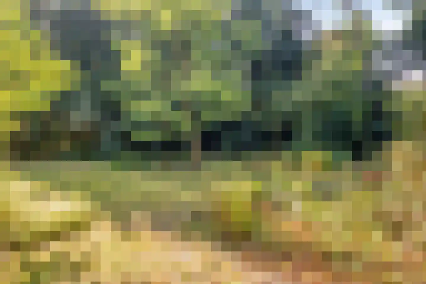 Terpweg 9 Heerde thumbnail 46