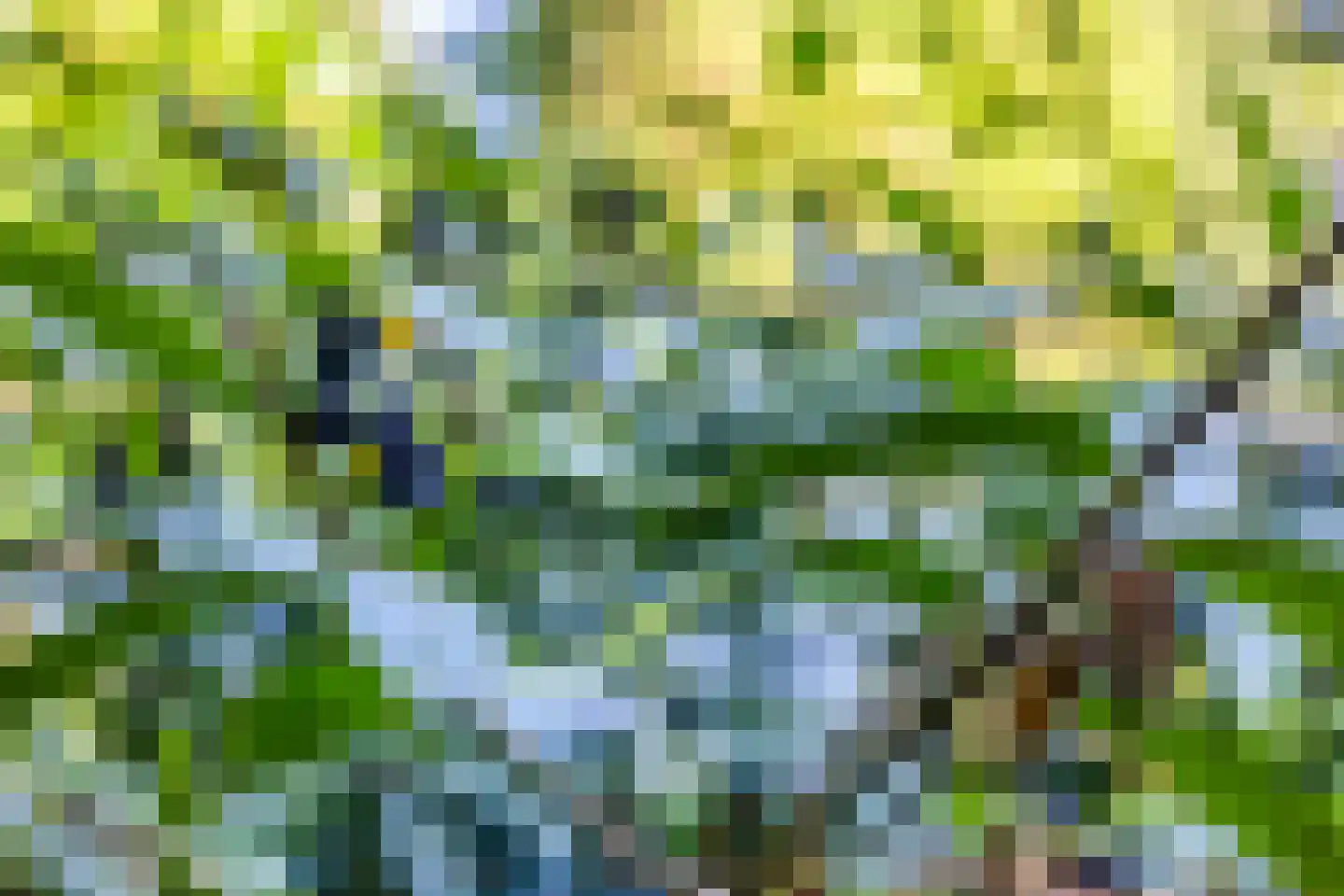 Terpweg 9 Heerde thumbnail 47