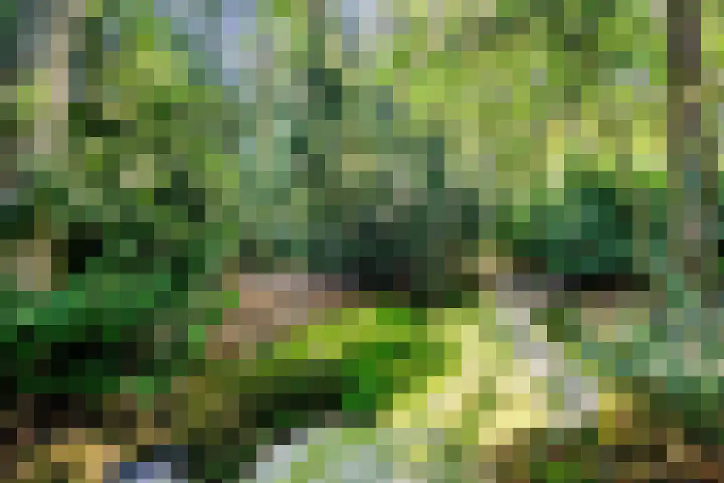 Terpweg 9 Heerde thumbnail 50