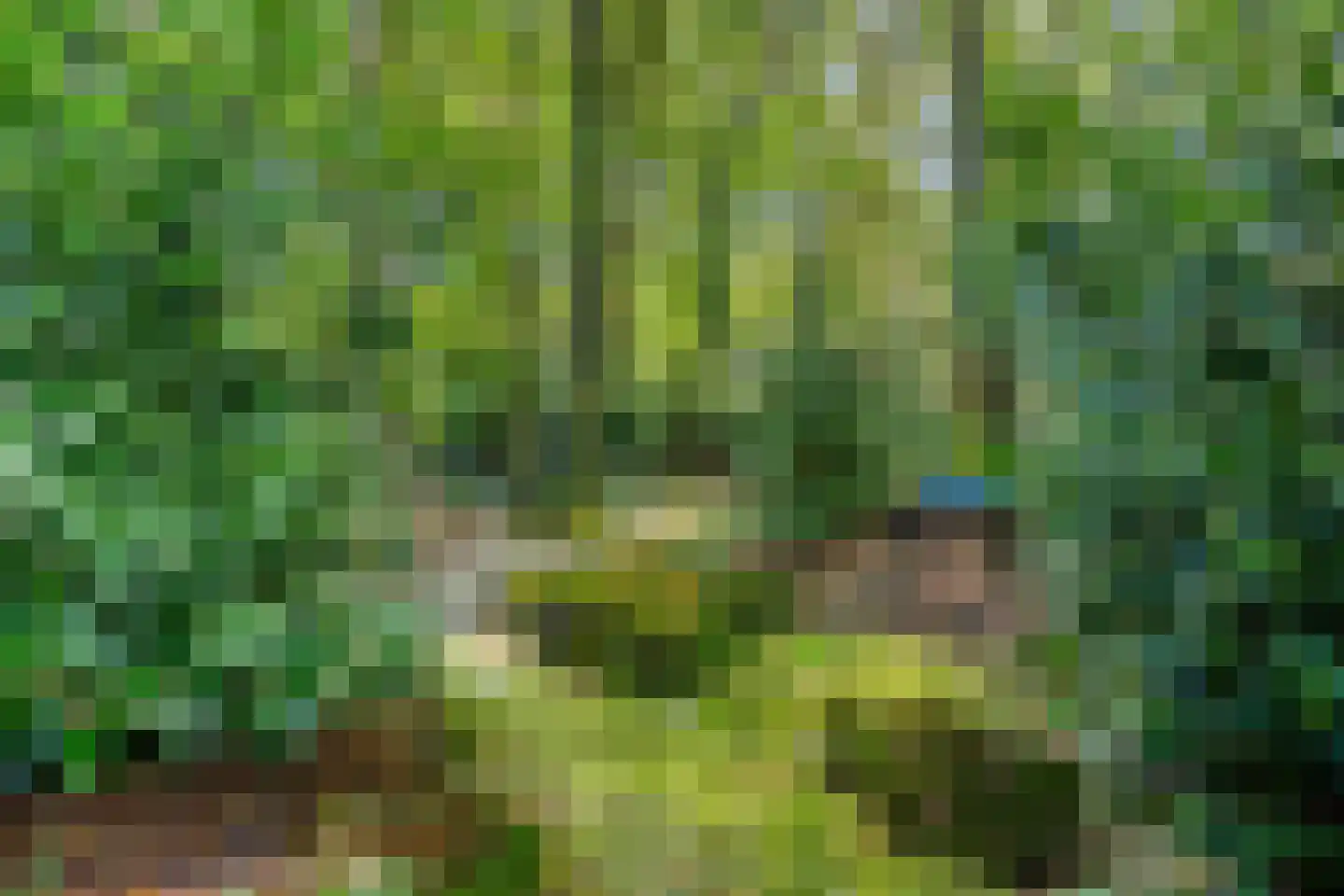 Terpweg 9 Heerde thumbnail 51