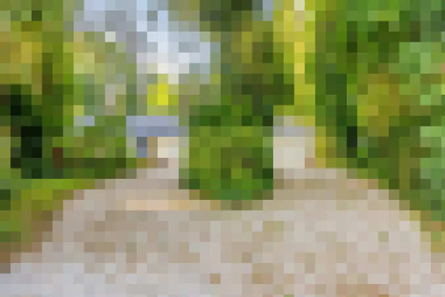 Terpweg 9 Heerde thumbnail 52