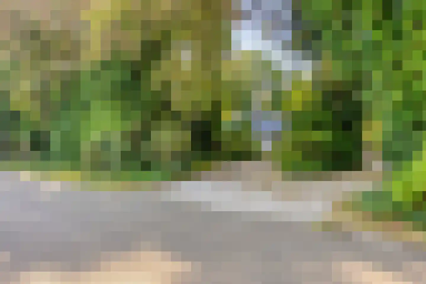 Terpweg 9 Heerde thumbnail 57