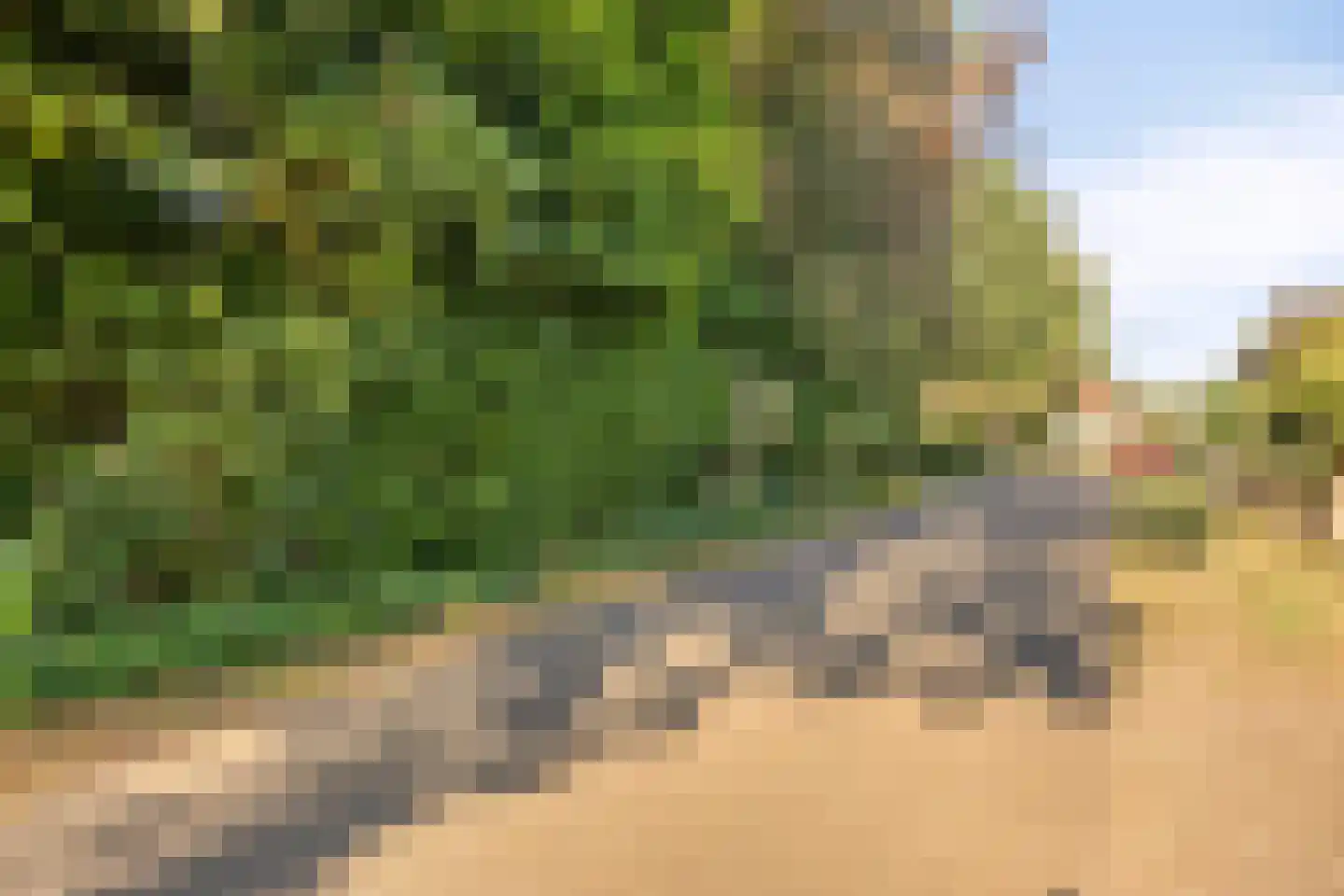 Terpweg 9 Heerde thumbnail 59