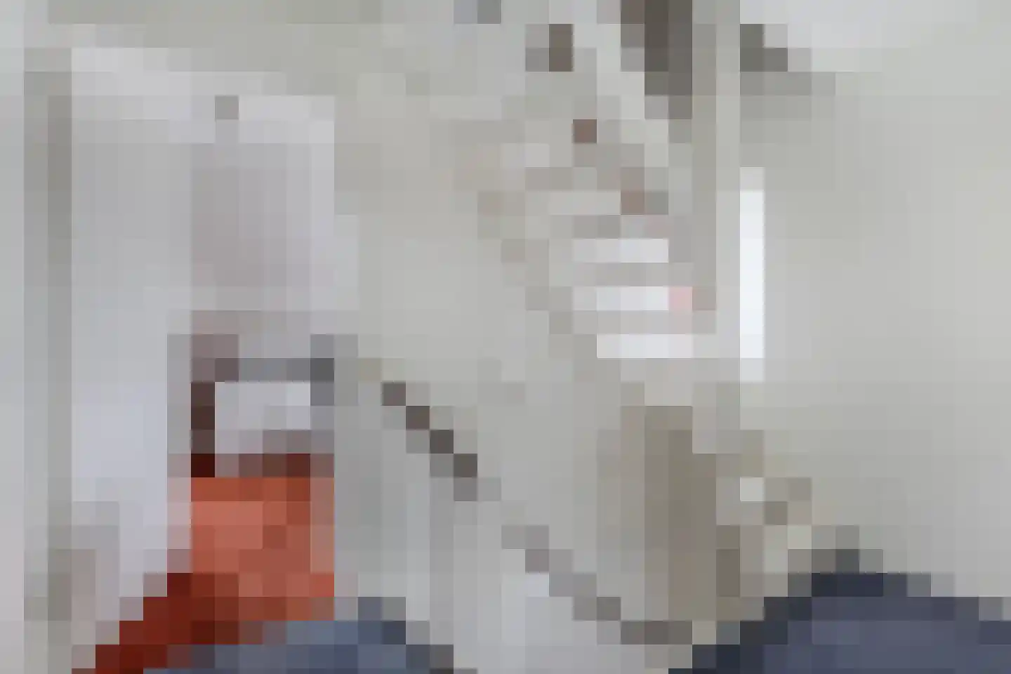 Terpwei 6 Wjelsryp thumbnail 21