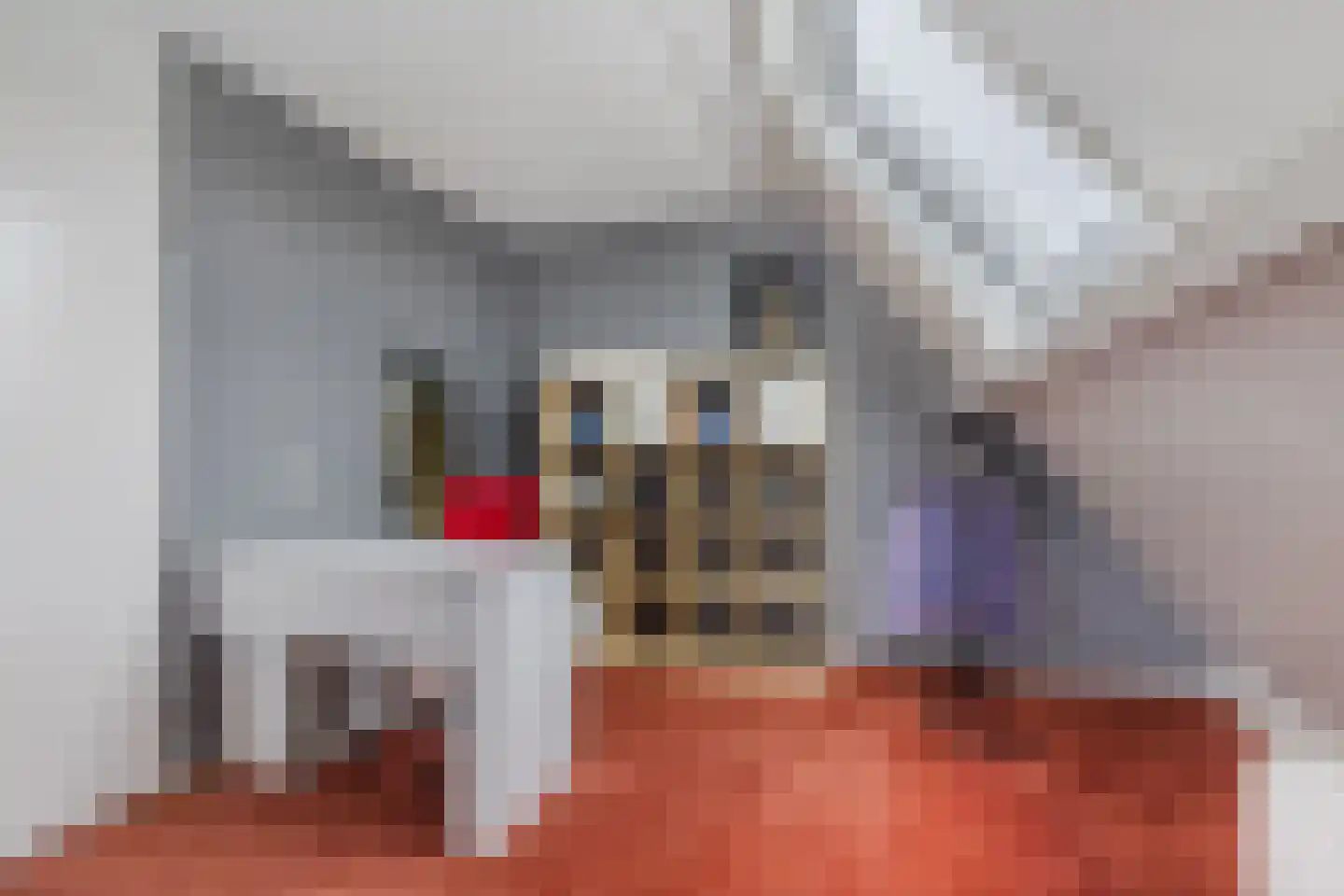 Terpwei 6 Wjelsryp thumbnail 23