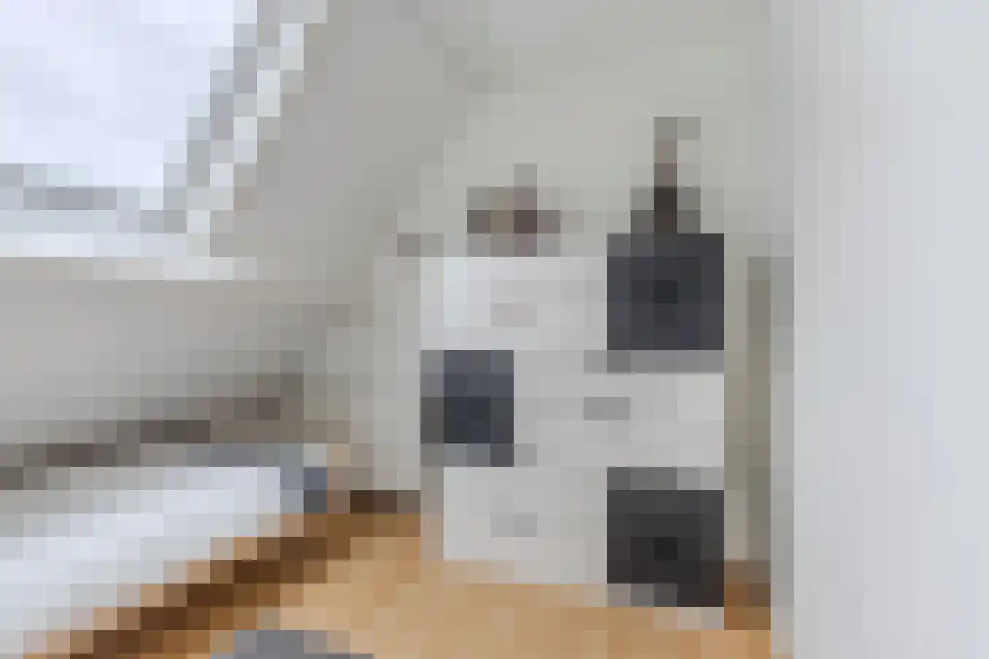 Terpwei 6 Wjelsryp thumbnail 24