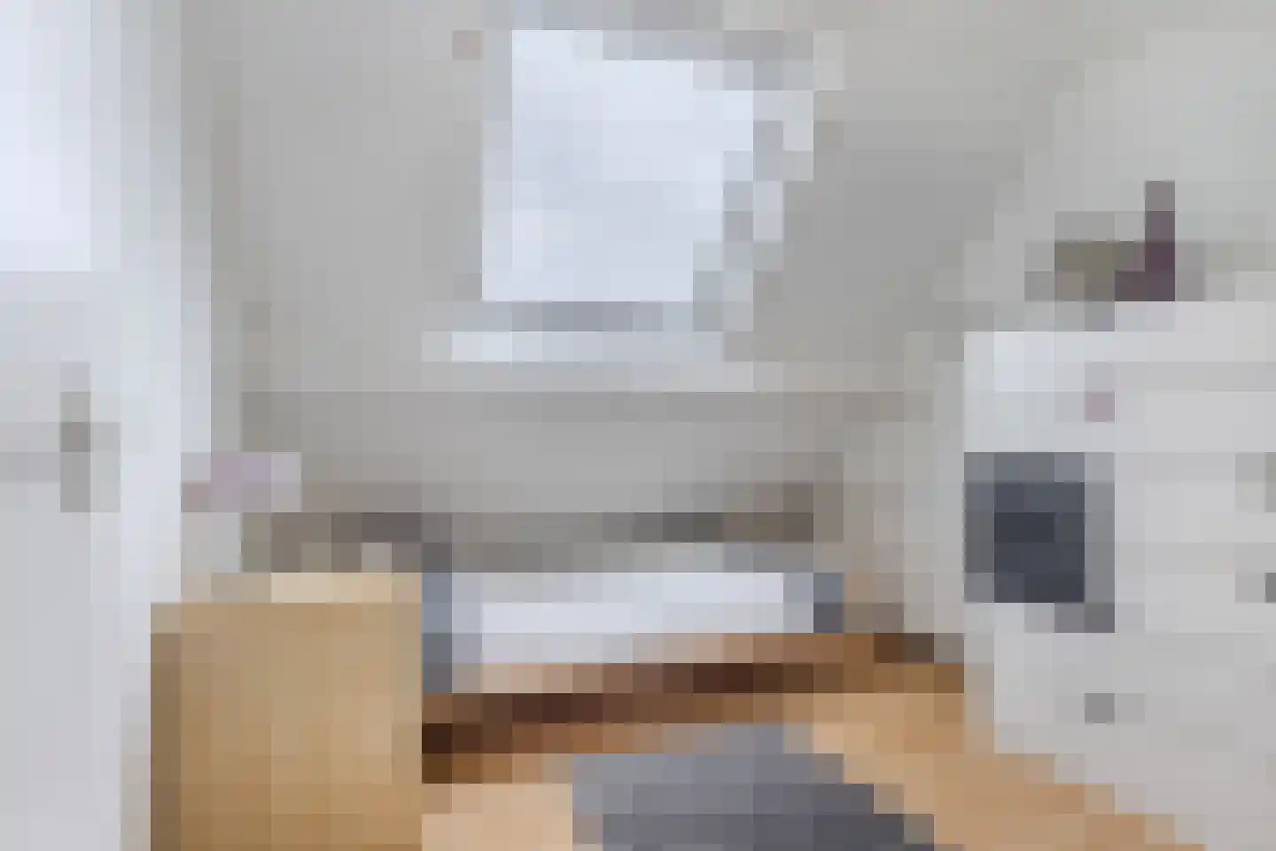 Terpwei 6 Wjelsryp thumbnail 25
