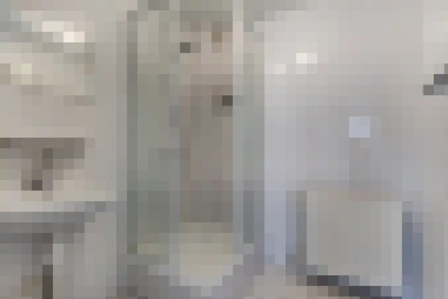 Terpwei 6 Wjelsryp thumbnail 26