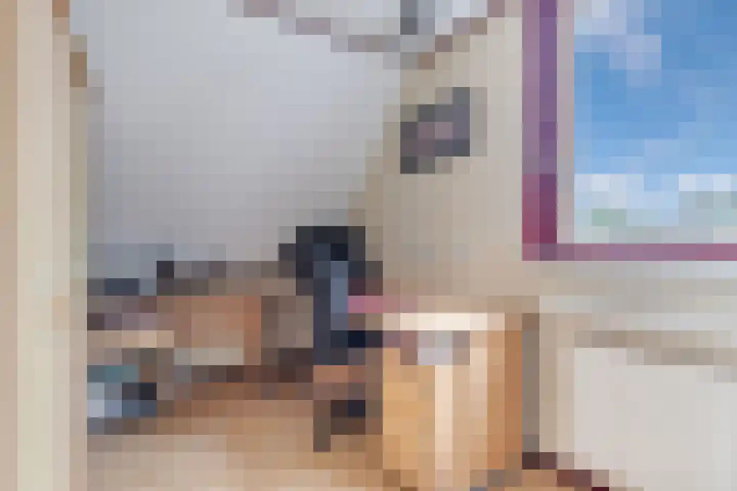 Terpwei 6 Wjelsryp thumbnail 31