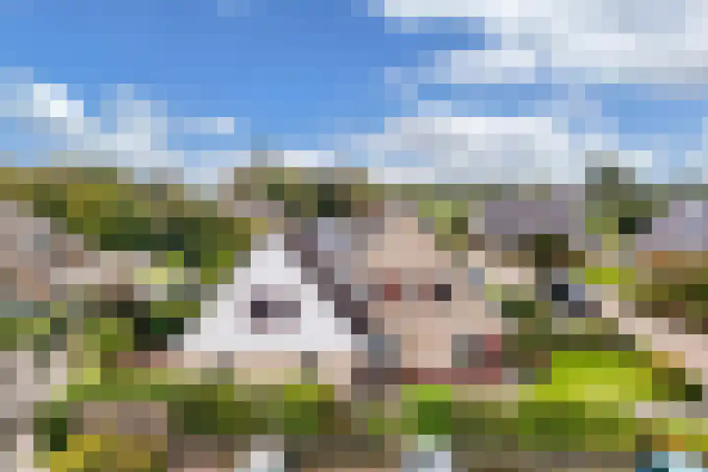 Terpwei 6 Wjelsryp thumbnail 39