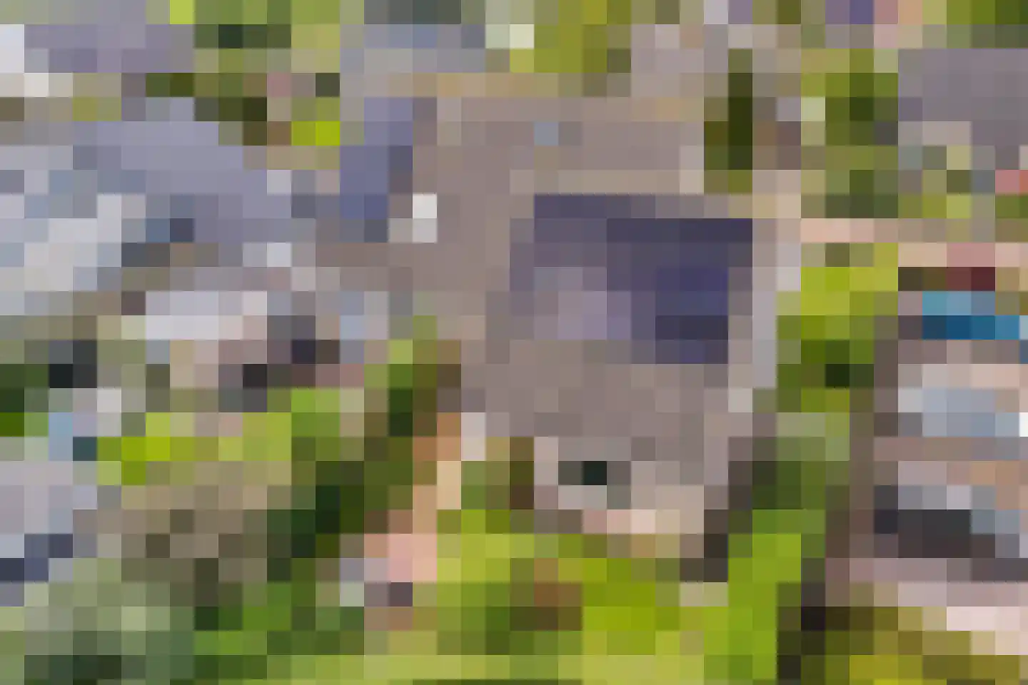 Terpwei 6 Wjelsryp thumbnail 40