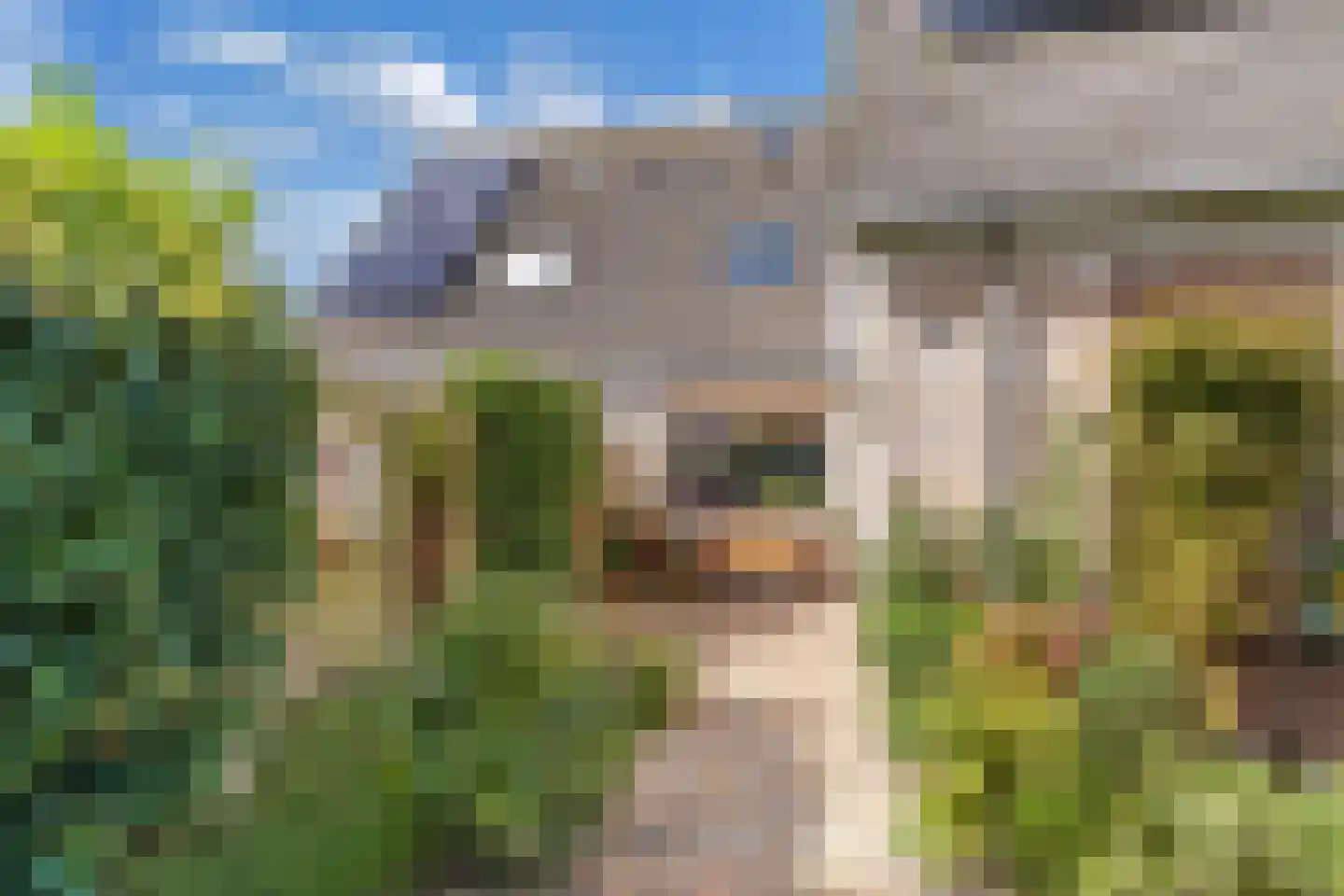Terpwei 6 Wjelsryp thumbnail 42