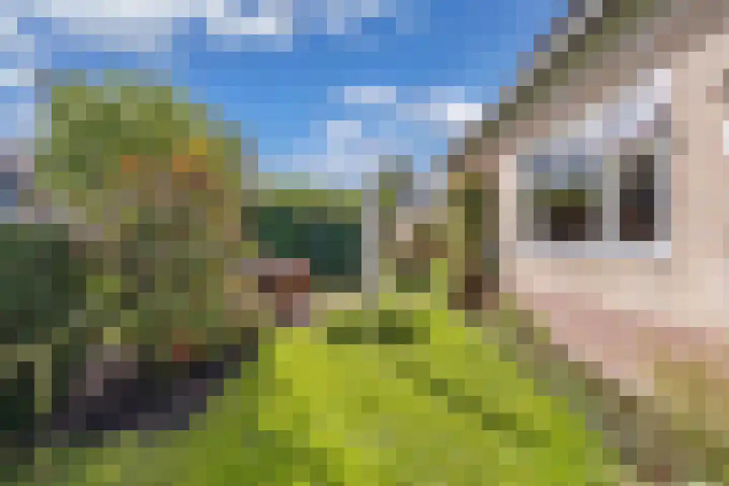 Terpwei 6 Wjelsryp thumbnail 43
