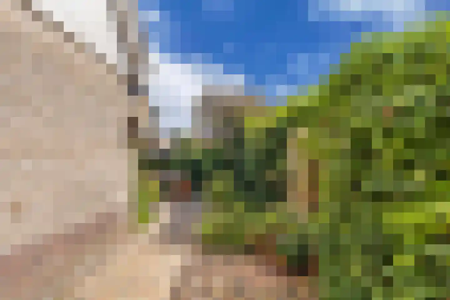 Terpwei 6 Wjelsryp thumbnail 45