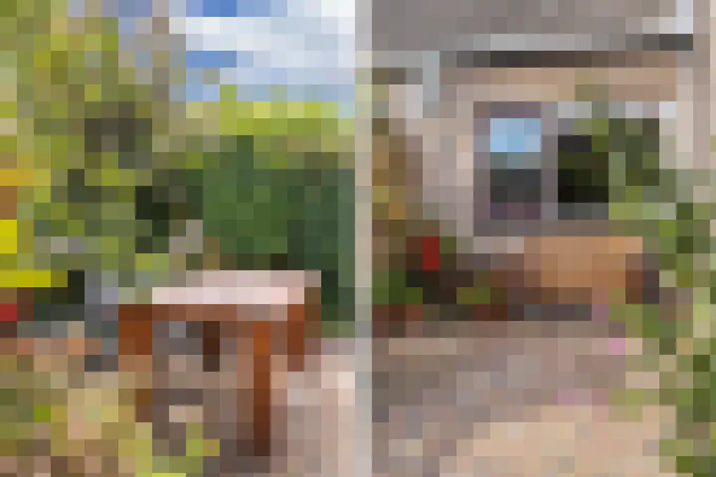 Terpwei 6 Wjelsryp thumbnail 46