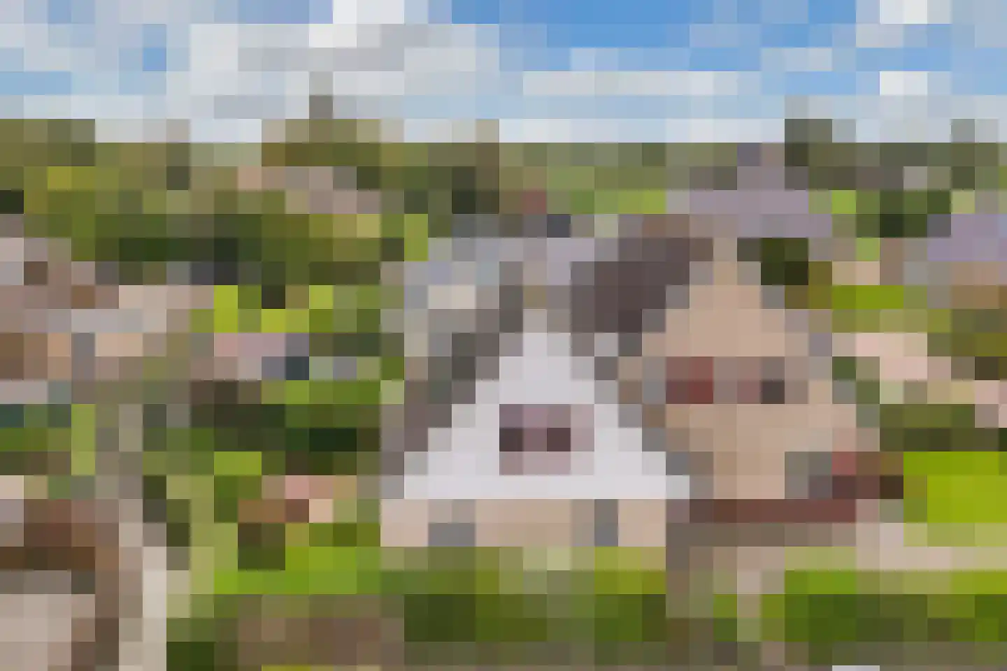 Terpwei 6 Wjelsryp thumbnail 47